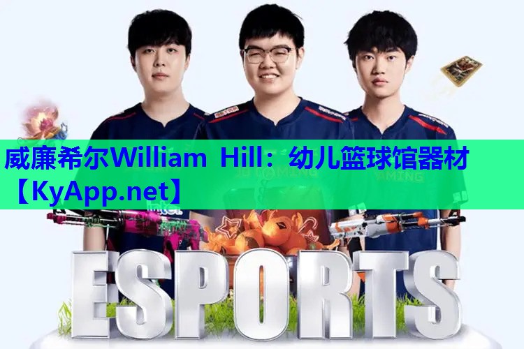 威廉希尔William Hill：幼儿篮球馆器材