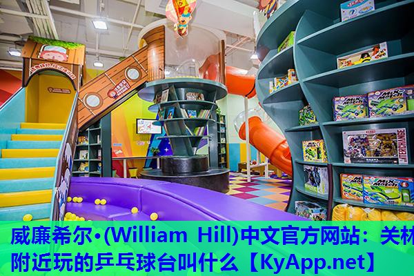 威廉希尔·(William Hill)中文官方网站：关林附近玩的乒乓球台叫什么