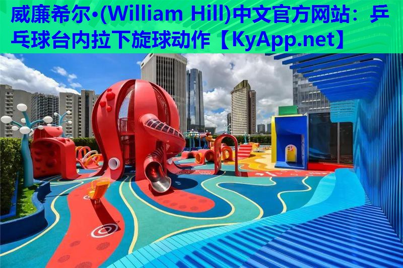 威廉希尔·(William Hill)中文官方网站：乒乓球台内拉下旋球动作