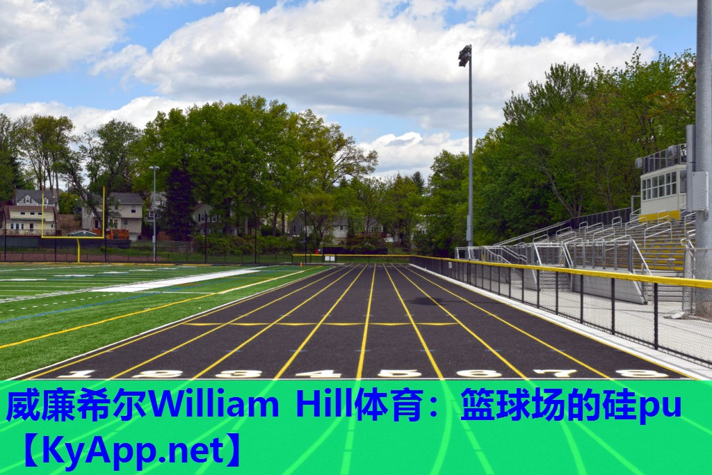 威廉希尔William Hill体育：篮球场的硅pu