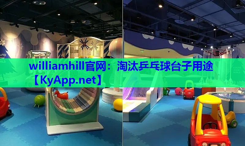 williamhill官网：淘汰乒乓球台子用途