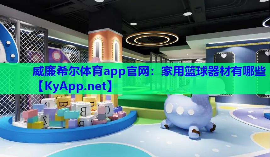 威廉希尔体育app官网：家用篮球器材有哪些