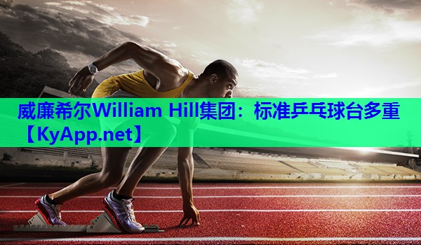 威廉希尔William Hill集团：标准乒乓球台多重