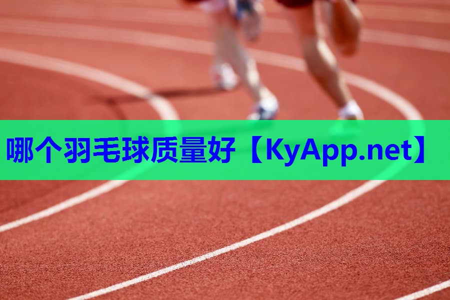 哪个羽毛球质量好