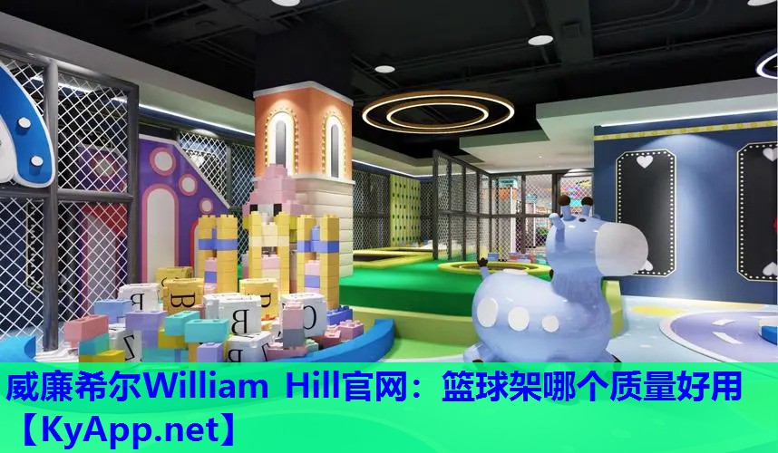 篮球架哪个质量好用