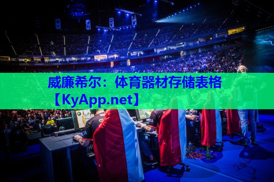 体育器材存储表格