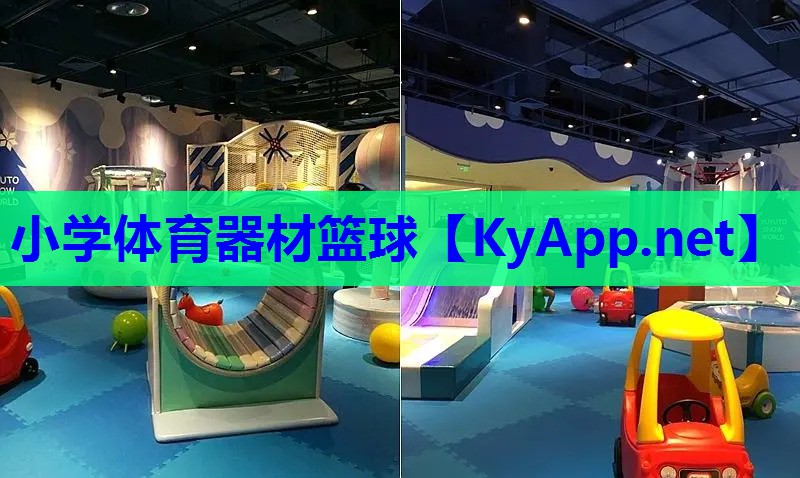小学体育器材篮球