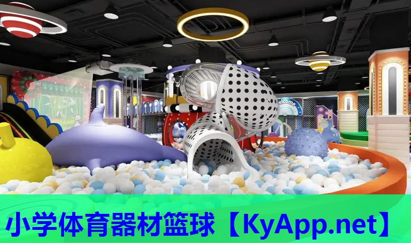 小学体育器材篮球