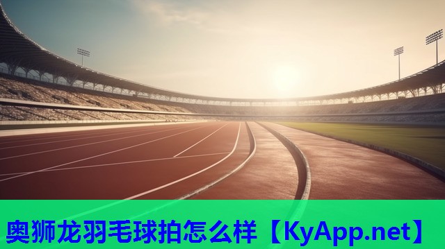 奥狮龙羽毛球拍怎么样