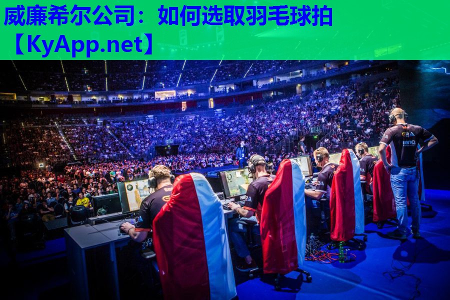 如何选取羽毛球拍